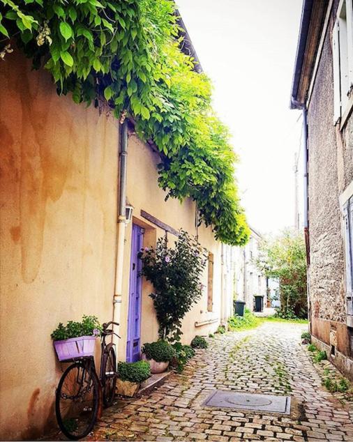 La Maison Dormoy - Maison De Ville - Coeur De Bourges Eksteriør billede