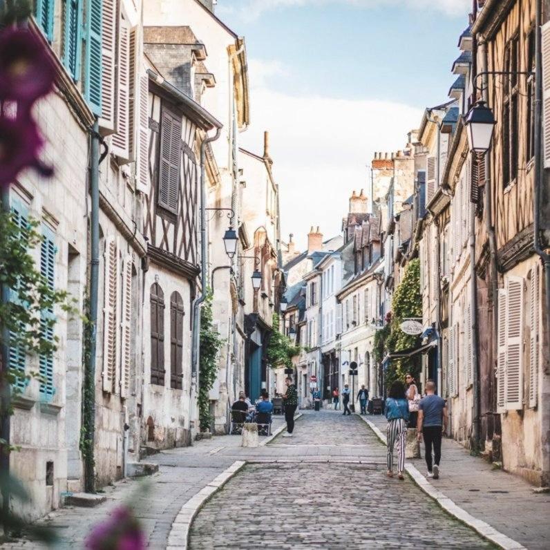 La Maison Dormoy - Maison De Ville - Coeur De Bourges Eksteriør billede